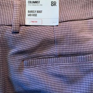 Express Columnist boot cut pants